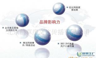 网络推广 企业数字营销战略的核心引擎